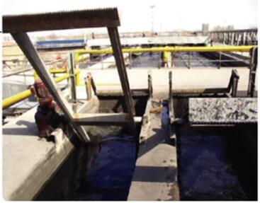 20190311113115.jpg 20190311113115.jpg